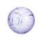 Globo De Exercicio Hamster P